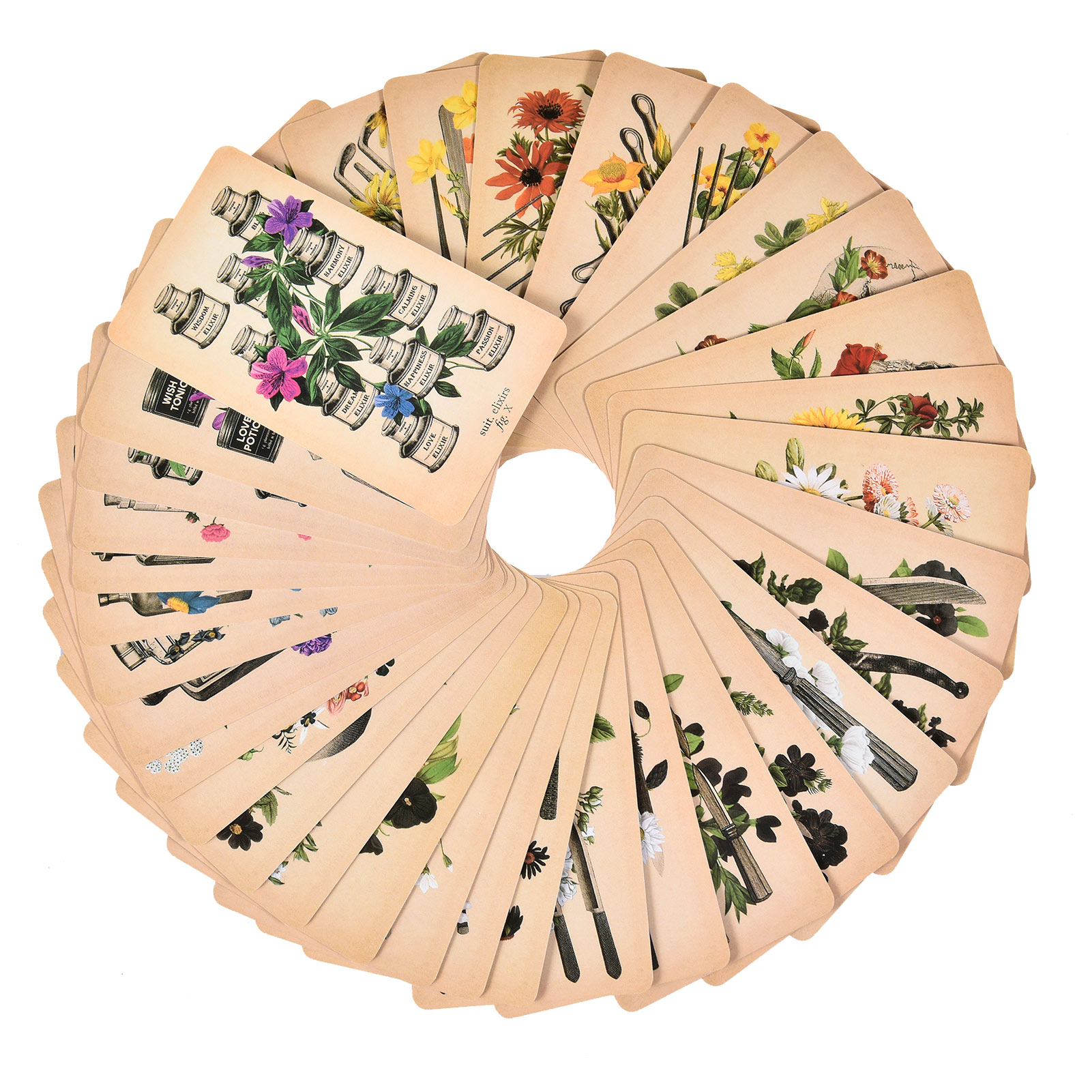 앤티크 해부학 타로 카드 영어 버전 타로 덱 PDF 가 - Tarot Cards Deck With Guidebook 리뷰 및 가격